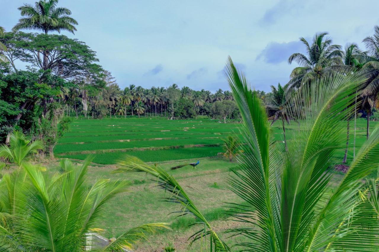 Brindavan Garden Resort & Spa Krishnarajasagara Exterior foto